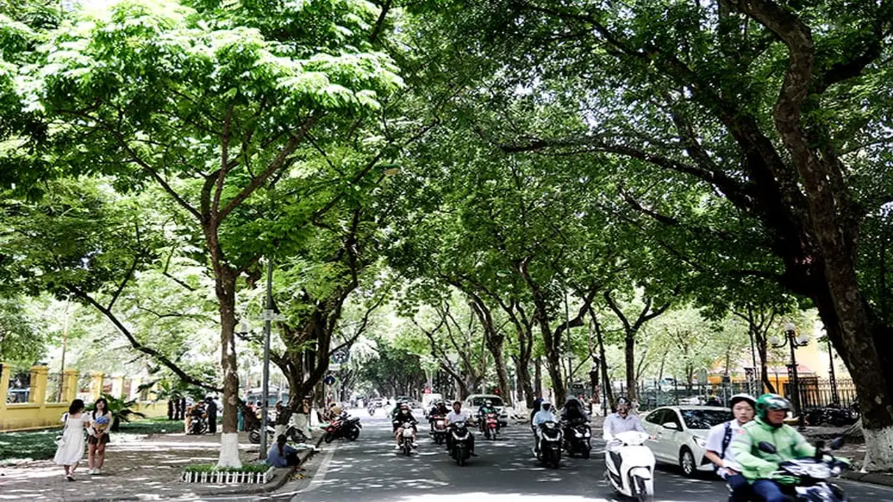 عواصف رعدية تجتاح شمال فيتنام تزامناً مع استمرار الحرارة في المناطق الوسطى